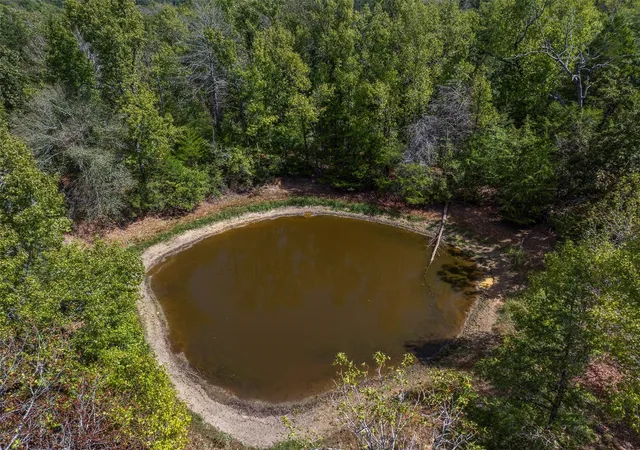 Land for sale at 13 Ac Fm 489, Oakwood, TX 75855 | MLS# 31725558