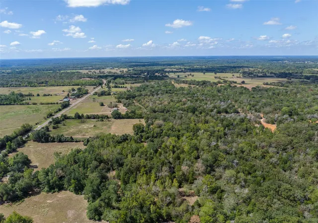 Photo 1 of Land for sale at 13 Ac Fm 489, Oakwood, TX 75855 | MLS# 31725558 | Listing updated on 2026-09-21