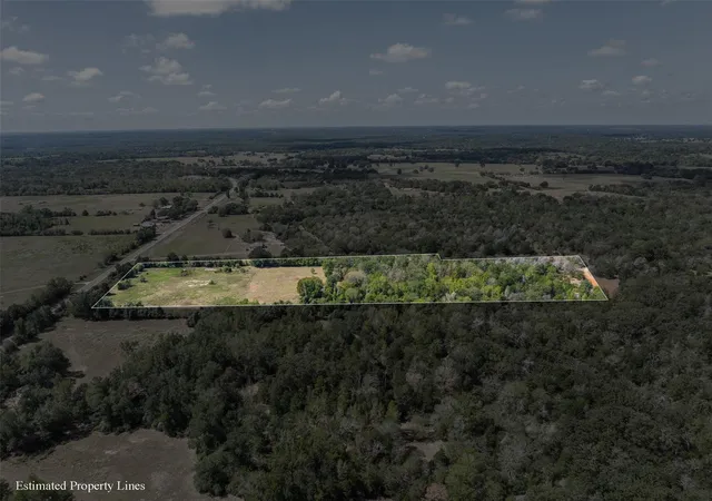 Photo 2 of Land for sale at 13 Ac Fm 489, Oakwood, TX 75855 | MLS# 31725558 | Listing updated on 2026-09-21