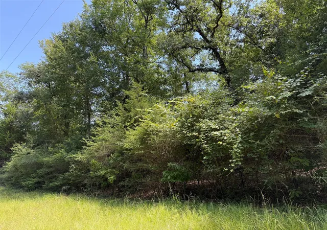 Photo 1 of Land for sale at 16 Ac Cr 321, Jewett, TX 75846 | MLS# 76719941 | Listing updated on 2026-09-08
