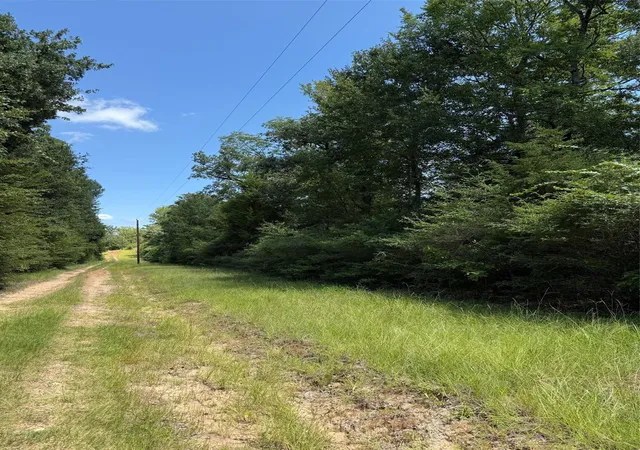 Photo 2 of Land for sale at 16 Ac Cr 321, Jewett, TX 75846 | MLS# 76719941 | Listing updated on 2026-09-08