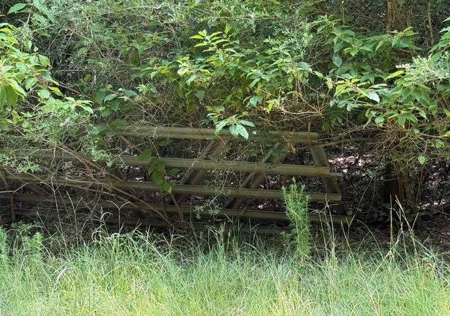 Photo 3 of Land for sale at 16 Ac Cr 321, Jewett, TX 75846 | MLS# 76719941 | Listing updated on 2026-09-08