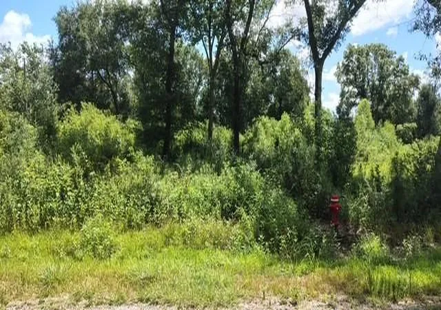 Land for sale at 17895 Camellia Dr, Beaumont, TX 77705 | MLS# 33115162