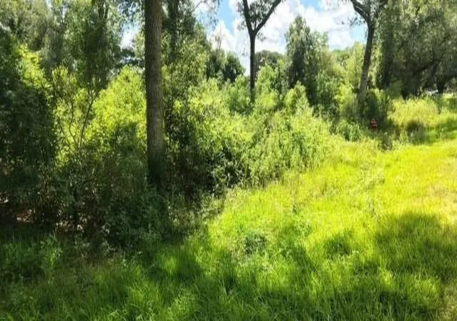 Photo 2 of Land for sale at 17895 Camellia Dr, Beaumont, TX 77705 | MLS# 33115162 | Listing updated on 2026-08-31