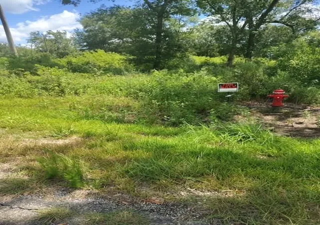 Photo 3 of Land for sale at 17895 Camellia Dr, Beaumont, TX 77705 | MLS# 33115162 | Listing updated on 2026-08-31