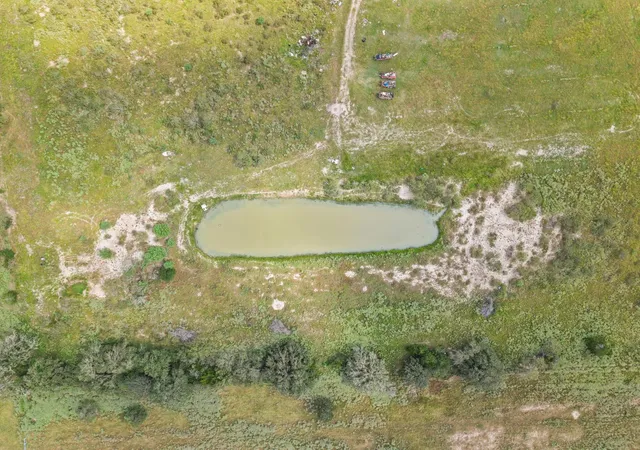 Photo 4 of Land for sale at 0 County Rd 504, Flatonia, TX 78941 | MLS# 45008032 | Listing updated on 2026-09-21