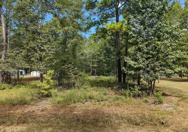 Photo 3 of Land for sale at 185 Lakewood Est, Hemphill, TX 75948 | MLS# 26122663 | Listing updated on 2026-10-06
