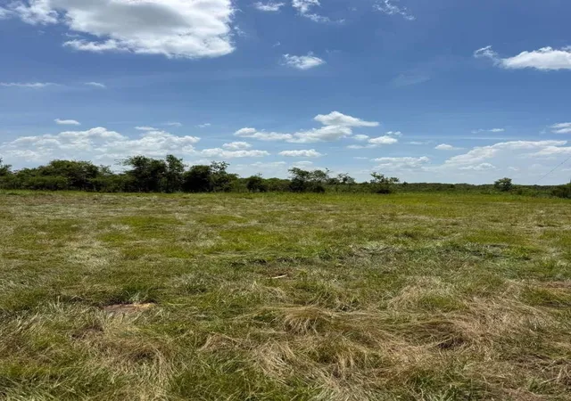 Photo 3 of Land for sale at 0 Private Rd 68602, Dayton, TX 77535 | MLS# 17748362 | Listing updated on 2026-09-09