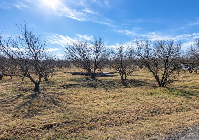 Photo 2 of Land for sale at 0 County Rd 505, Abilene, TX 79601 | MLS# 11502459 | Listing updated on 2026-10-03