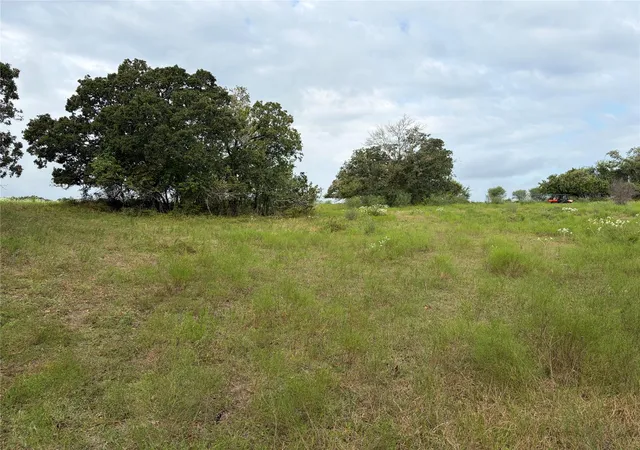 Photo 11 of Land for sale at 13030 County Road 446, Navasota, TX 77868 | MLS# 42765484 | Listing updated on 2026-09-02