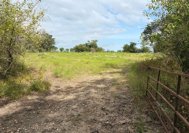 Photo 2 of Land for sale at 13030 County Road 446, Navasota, TX 77868 | MLS# 42765484 | Listing updated on 2026-09-02
