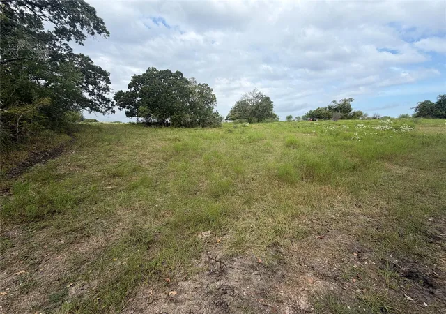 Photo 3 of Land for sale at 13030 County Road 446, Navasota, TX 77868 | MLS# 42765484 | Listing updated on 2026-09-17