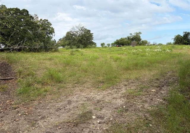Photo 3 of Land for sale at 13030 County Road 446, Navasota, TX 77868 | MLS# 42765484 | Listing updated on 2026-09-17