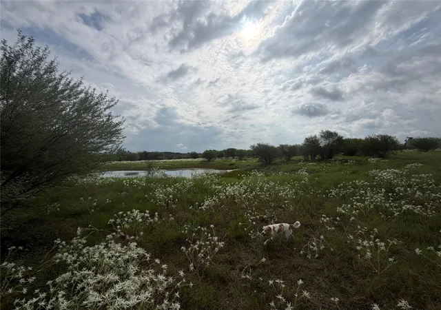 Photo 4 of Land for sale at 13030 County Road 446, Navasota, TX 77868 | MLS# 42765484 | Listing updated on 2026-09-17