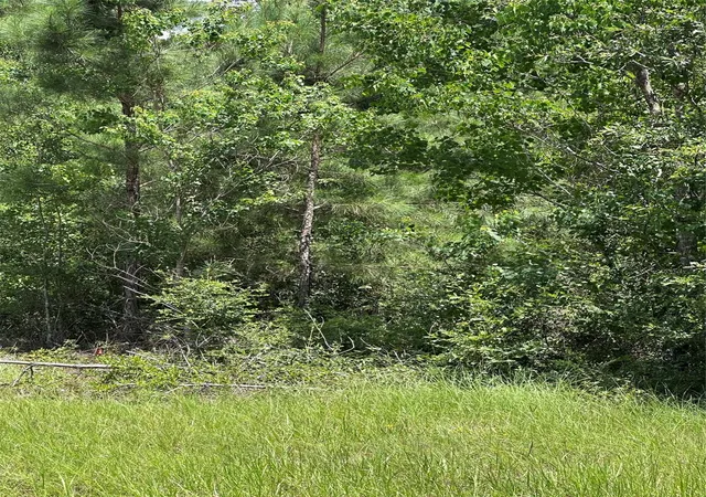 Photo 4 of Land for sale at #6 Pozos Ln, Conroe, TX 77303 | MLS# 60076295 | Listing updated on 2026-09-11