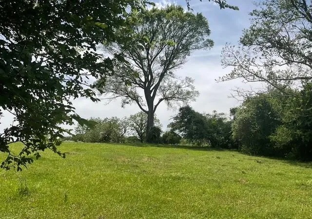 Land for sale at 0 Riverside Plantation Rd, Chappell Hill, TX 77426 | MLS# 25087493