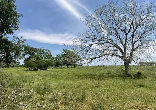 Photo 3 of Land for sale at 0 Riverside Plantation Rd, Chappell Hill, TX 77426 | MLS# 25087493 | Listing updated on 2026-09-22