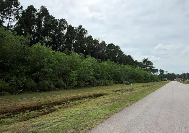 Photo 1 of Land for sale at 215 County Road 6614, Dayton, TX 77535 | MLS# 62425280 | Listing updated on 2026-09-03