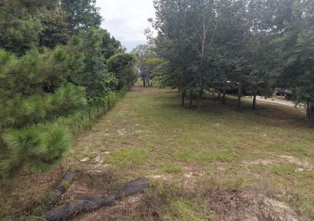 Photo 3 of Land for sale at 1458 County Rd 3405, Cleveland, TX 77327 | MLS# 69992405 | Listing updated on 2026-09-28