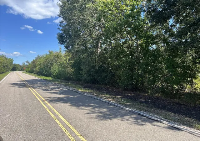 Land for sale at 814 Patterson Rd, Brazoria, TX 77422 | MLS# 58223787