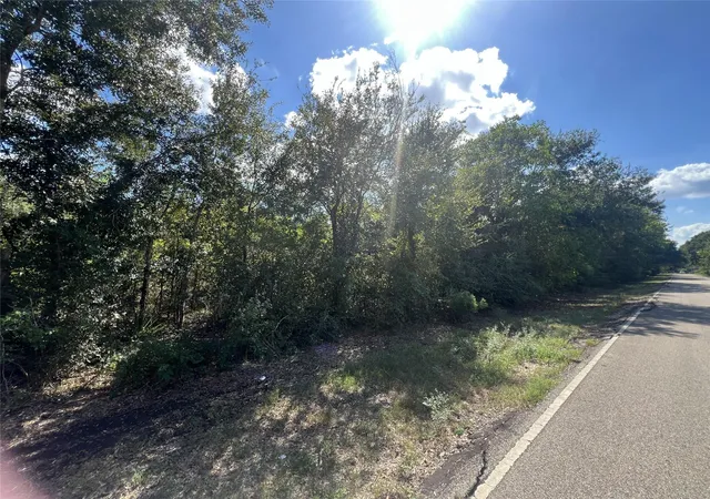 Photo 2 of Land for sale at 814 Patterson Rd, Brazoria, TX 77422 | MLS# 58223787 | Listing updated on 2026-09-20