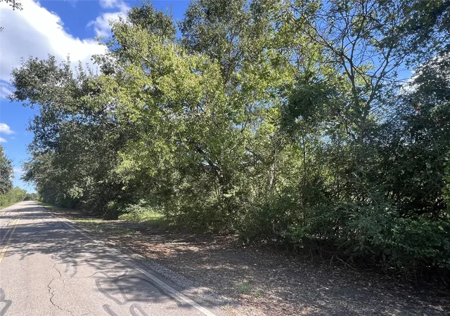 Photo 3 of Land for sale at 814 Patterson Rd, Brazoria, TX 77422 | MLS# 58223787 | Listing updated on 2026-09-20