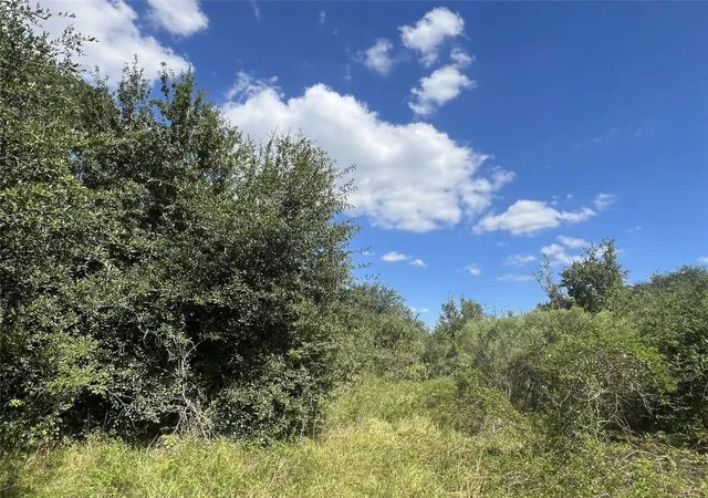 Photo 4 of Land for sale at 814 Patterson Rd, Brazoria, TX 77422 | MLS# 58223787 | Listing updated on 2026-09-20