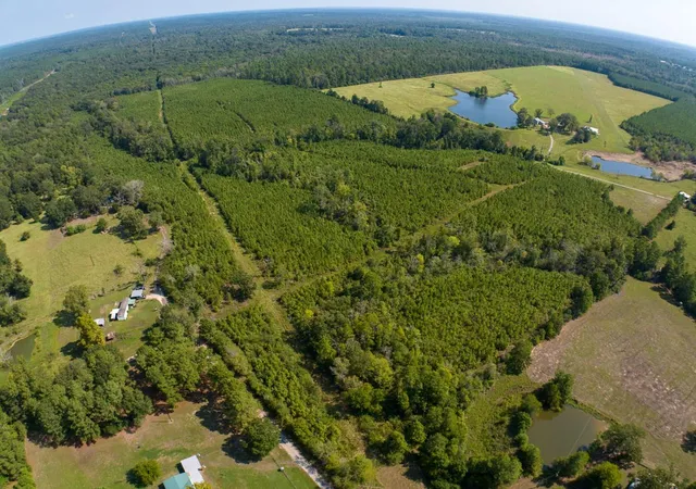 Photo 1 of Land for sale at 00 Lightfoot Rd, Lufkin, TX 75901 | MLS# 41590549 | Listing updated on 2026-09-10