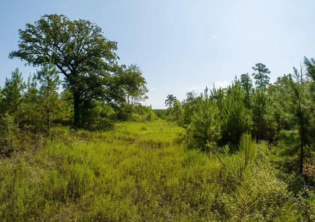 Photo 2 of Land for sale at 00 Lightfoot Rd, Lufkin, TX 75901 | MLS# 41590549 | Listing updated on 2026-09-10