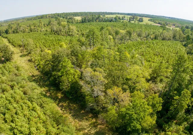 Photo 3 of Land for sale at 00 Lightfoot Rd, Lufkin, TX 75901 | MLS# 41590549 | Listing updated on 2026-09-10
