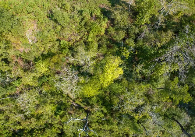 Photo 3 of Land for sale at 00 Lightfoot Rd, Lufkin, TX 75901 | MLS# 41590549 | Listing updated on 2026-09-10