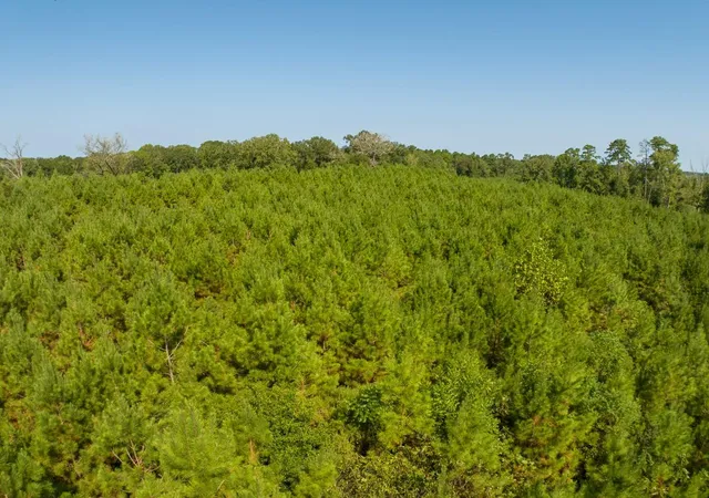 Photo 4 of Land for sale at 00 Lightfoot Rd, Lufkin, TX 75901 | MLS# 41590549 | Listing updated on 2026-09-10