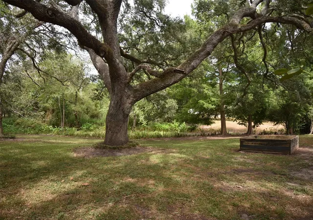 Photo 3 of Single family home for sale at 3205 Ave K, Bay City, TX 77414 | MLS# 78521171 | Listing updated on 2026-09-14