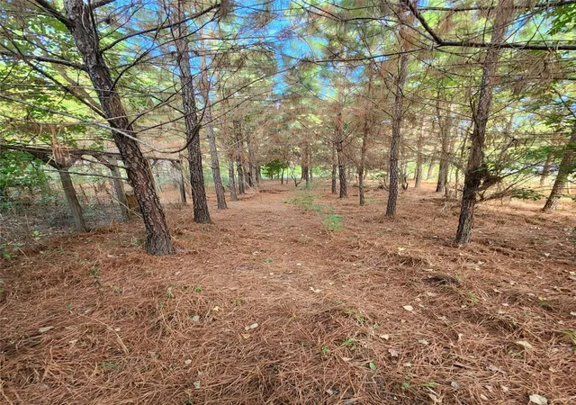 Photo 15 of Land for sale at 3997 E Fsr, Kennard, TX 75847 | MLS# 25712278 | Listing updated on 2026-09-11