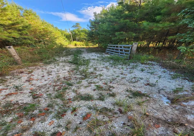 Photo 2 of Land for sale at 3997 E Fsr, Kennard, TX 75847 | MLS# 25712278 | Listing updated on 2026-09-11