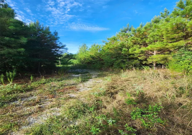 Photo 3 of Land for sale at 3997 E Fsr, Kennard, TX 75847 | MLS# 25712278 | Listing updated on 2026-09-11