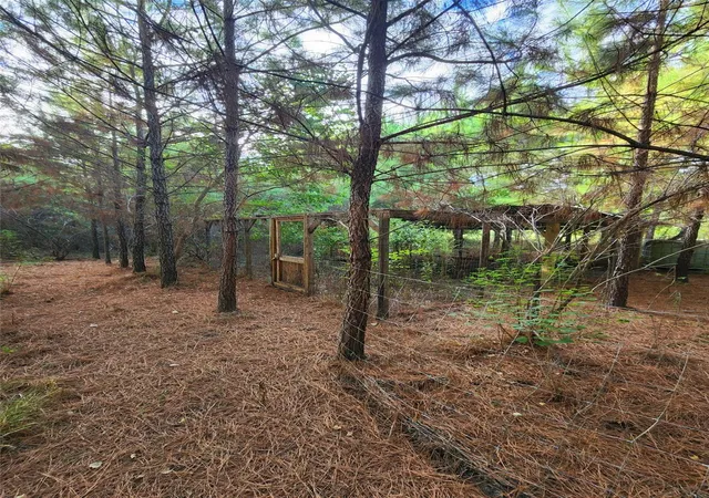 Photo 4 of Land for sale at 3997 E Fsr, Kennard, TX 75847 | MLS# 25712278 | Listing updated on 2026-09-11