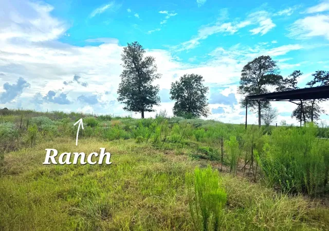 Photo 3 of Land for sale at 37903 Antrim St, Hempstead, TX 77445 | MLS# 16581041 | Listing updated on 2026-09-12