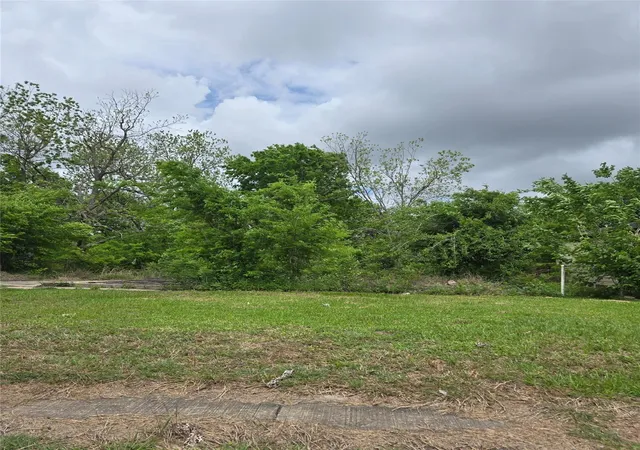 Land for sale at 5021 Airport Blvd, Houston, TX 77048 | MLS# 42859198