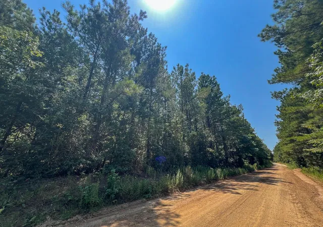 Photo 3 of Land for sale at 4 County Rd 3230, Colmesneil, TX 75938 | MLS# 8316403 | Listing updated on 2026-08-31