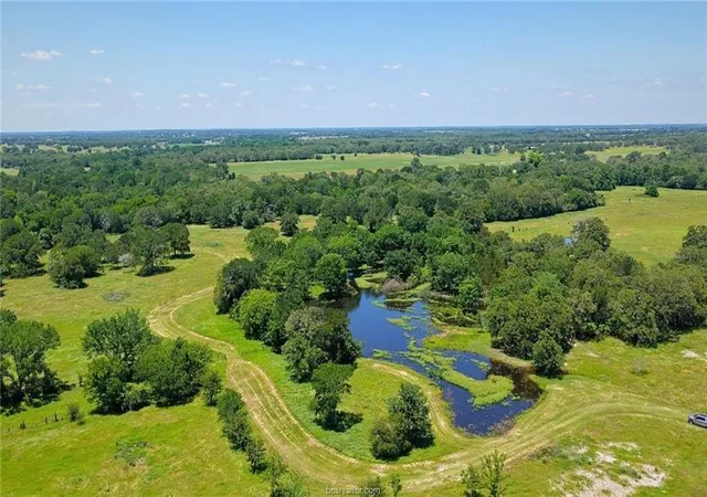 Photo 3 of Land for sale at 5380 County Rd 132 81 Acres, Somerville, TX 77879 | MLS# 80186178 | Listing updated on 2026-09-23