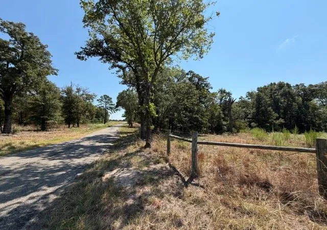 Photo 12 of Land for sale at 7 Ac Acr 2601, Tennessee Colony, TX 75861 | MLS# 15521848 | Listing updated on 2026-08-31
