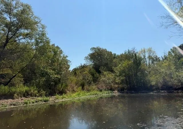 Photo 1 of Land for sale at 7 Ac Acr 2601, Tennessee Colony, TX 75861 | MLS# 15521848 | Listing updated on 2026-08-31