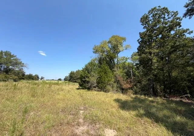 Photo 2 of Land for sale at 7 Ac Acr 2601, Tennessee Colony, TX 75861 | MLS# 15521848 | Listing updated on 2026-08-31