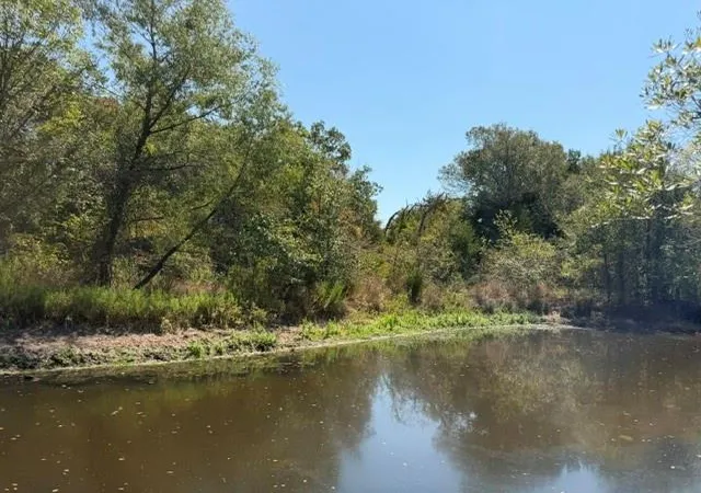 Photo 2 of Land for sale at 7 Ac Acr 2601, Tennessee Colony, TX 75861 | MLS# 15521848 | Listing updated on 2026-08-31