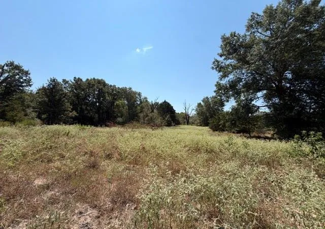 Photo 3 of Land for sale at 7 Ac Acr 2601, Tennessee Colony, TX 75861 | MLS# 15521848 | Listing updated on 2026-08-31