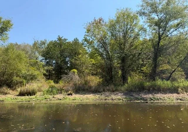 Photo 4 of Land for sale at 7 Ac Acr 2601, Tennessee Colony, TX 75861 | MLS# 15521848 | Listing updated on 2026-08-31