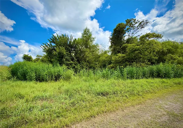 Photo 1 of Land for sale at 0 County Rd 121 Off Nar, Rosharon, TX 77583 | MLS# 42859703 | Listing updated on 2026-09-27