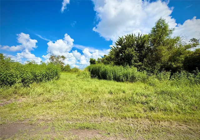 Photo 2 of Land for sale at 0 County Rd 121 Off Nar, Rosharon, TX 77583 | MLS# 42859703 | Listing updated on 2026-09-27