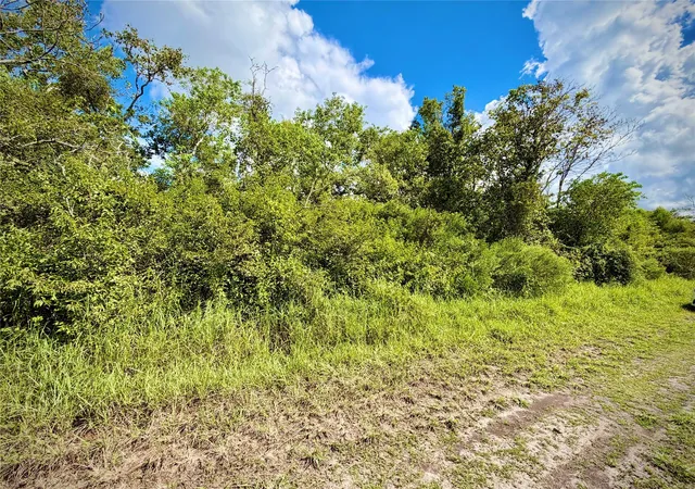 Photo 3 of Land for sale at 0 County Rd 121 Off Nar, Rosharon, TX 77583 | MLS# 42859703 | Listing updated on 2026-09-27